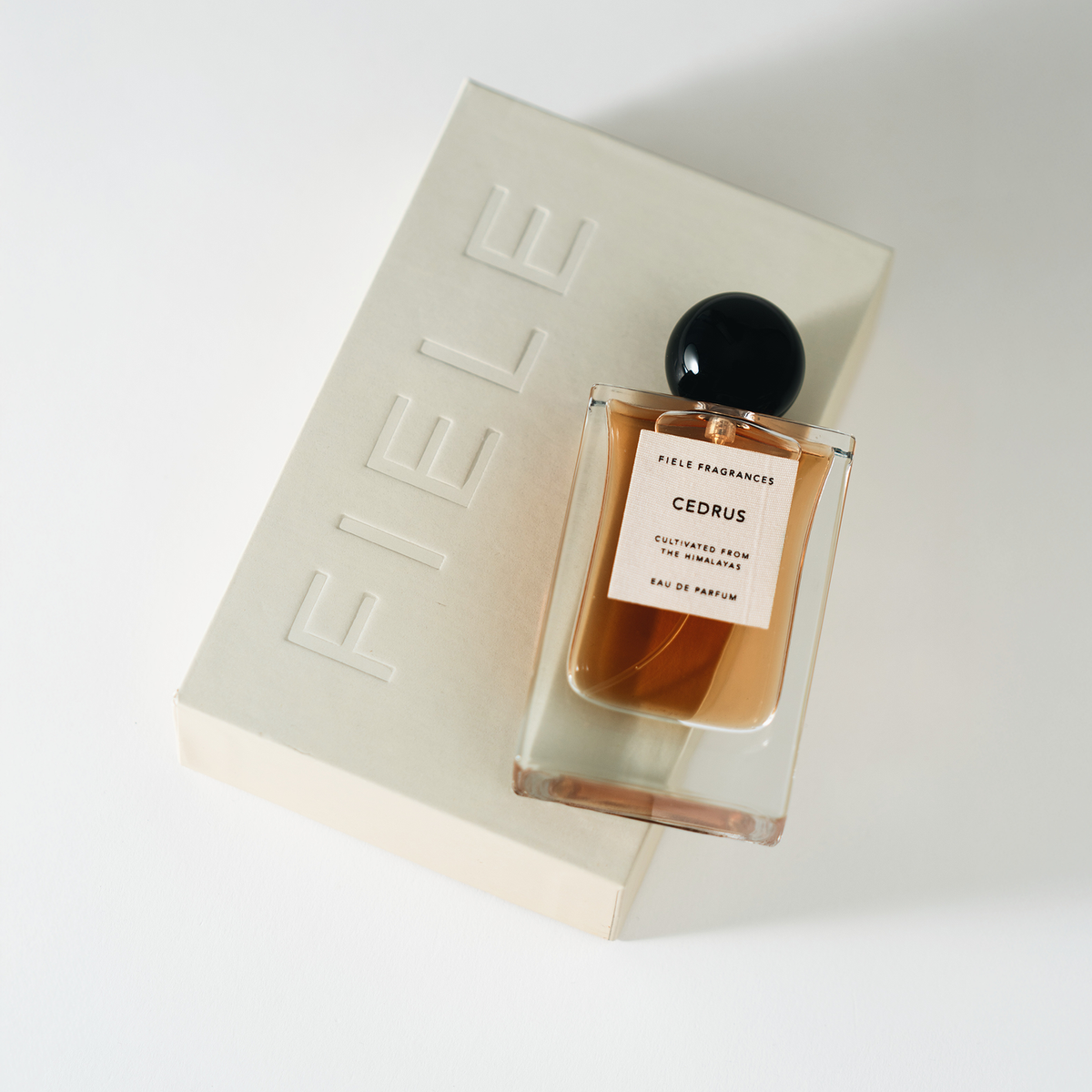 Parfum CEDRUS