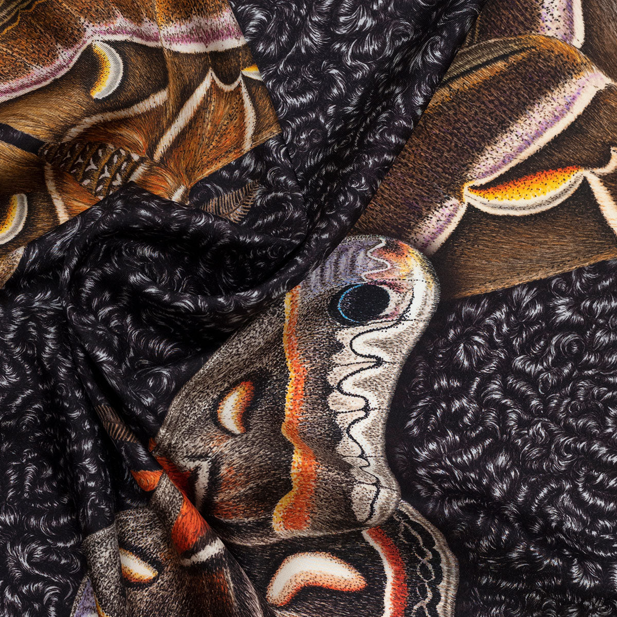 Seidenfoulard Moths - astrakhan