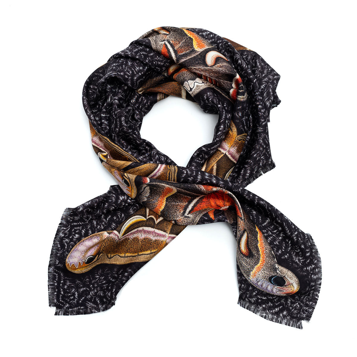 Seidenfoulard Moths - astrakhan